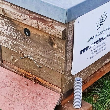 Trans World Hotel Auefeld Hannoversch Münden Zewnętrze zdjęcie